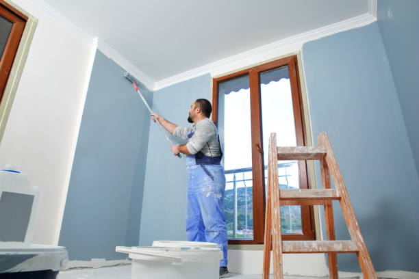 Best Mold Odor Removal Services  in Avon, MN