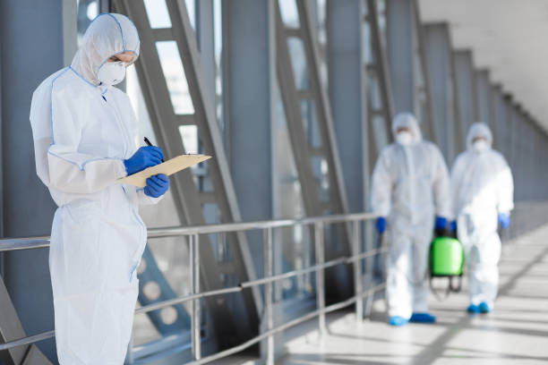Best Mold Removal for HVAC Installations  in Avon, MN