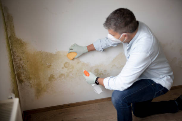 Best Forensic Mold Investigation  in Avon, MN