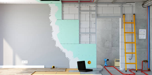 Best Attic Mold Removal  in Avon, MN