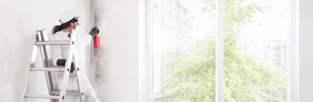 Best Emergency Mold Remediation  in Avon, MN