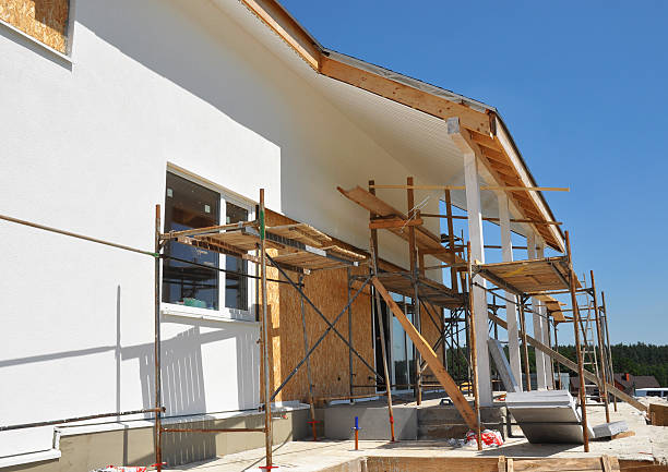 Best Real Estate Mold Inspection  in Avon, MN
