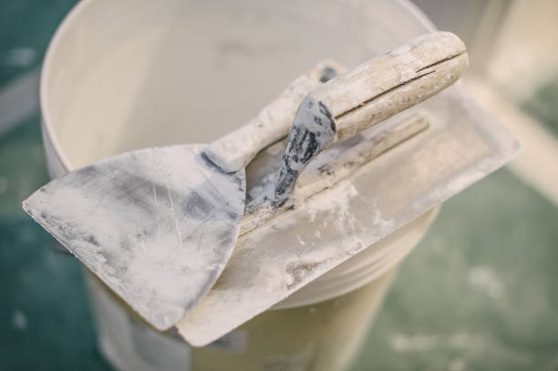 Best Residential Mold Inspection & Testing  in Avon, MN